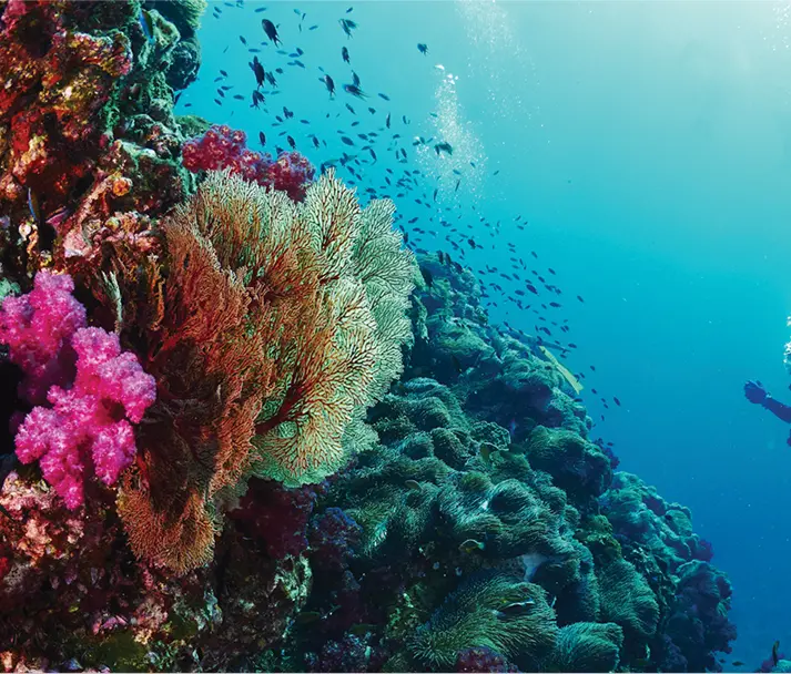 Key pillars image
