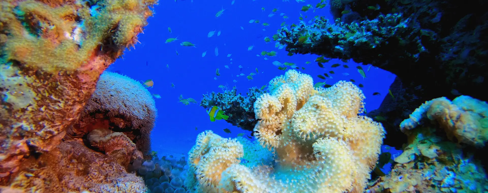 Under Water