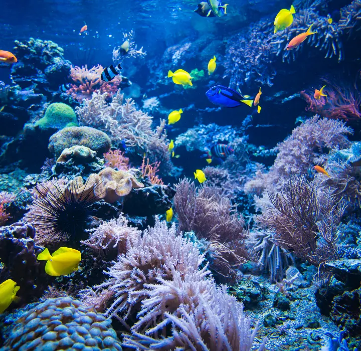 Under Water